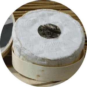 camembert