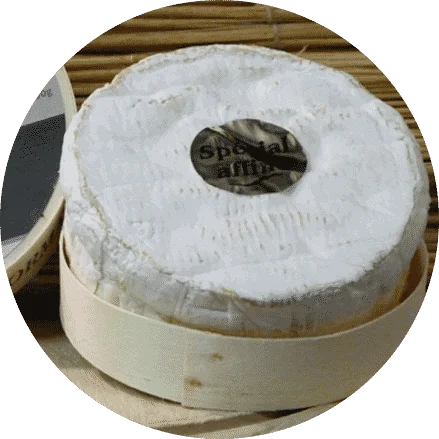 camembert