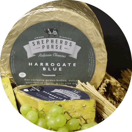 Harrogate Blue